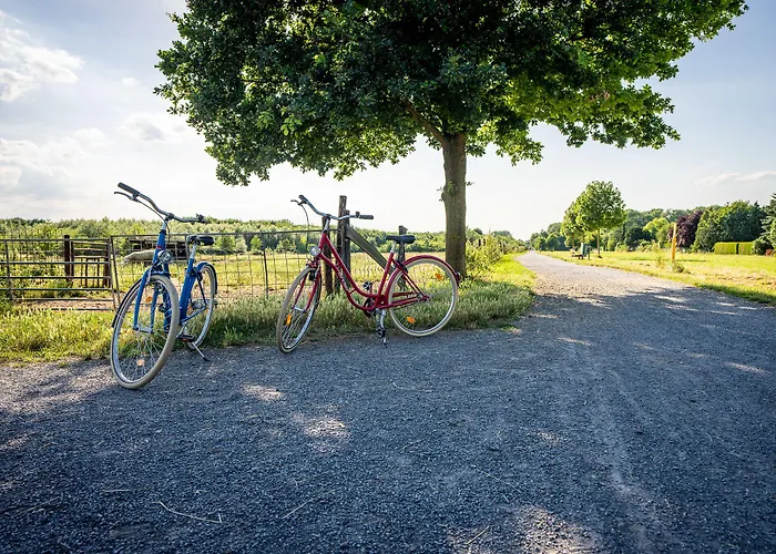 ホテル ベルクハイム ホテル